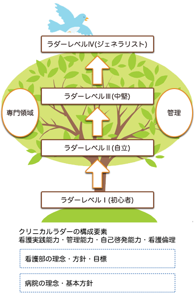 クリニカルラダー